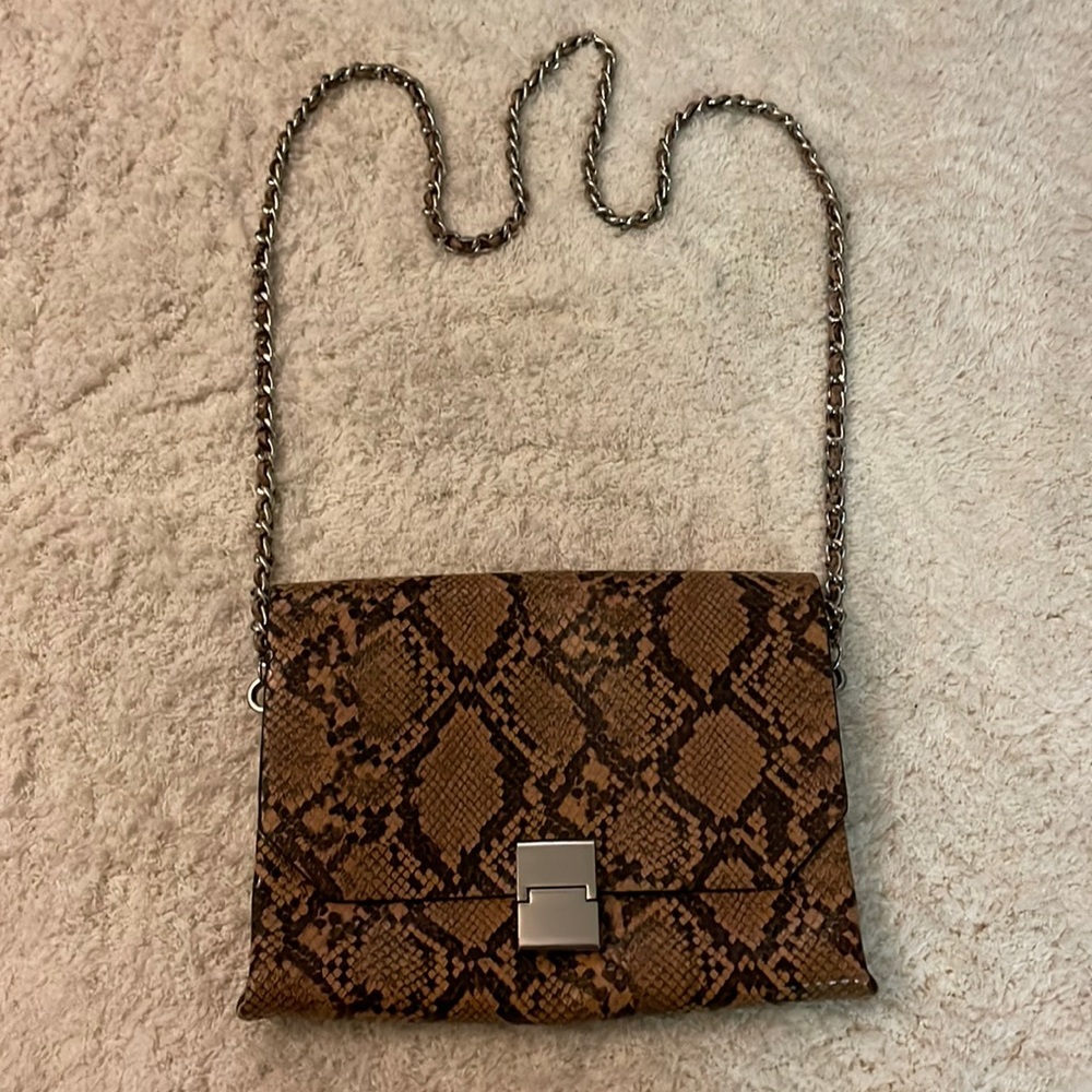 Zara Snake Skin Crossbody Chain Bag
